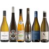 90+ bodová bílá vína_OceněnáVína_CZ