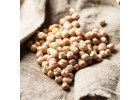 raw chickpea 2024 10 18 03 42 05 utc1200