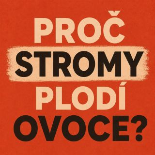 dnes trochu cukrové nauky. a nezapomeňte, že množství dělí lék od jedu. u cukrů to platí na 100%. proto kupujte cukr drahý...