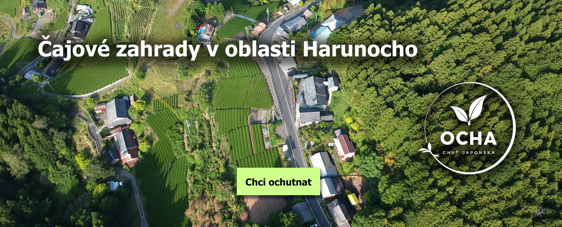 Čajové zahrady Harunocho