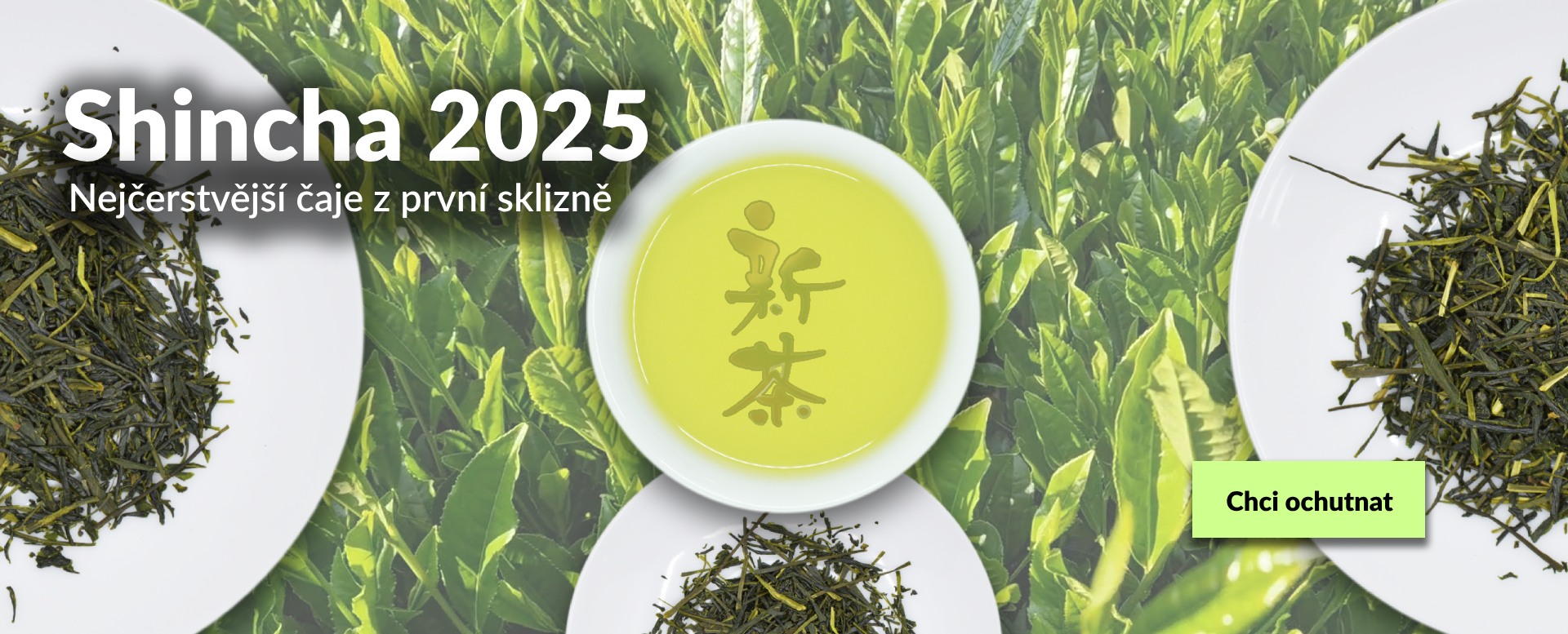 Shincha 2025