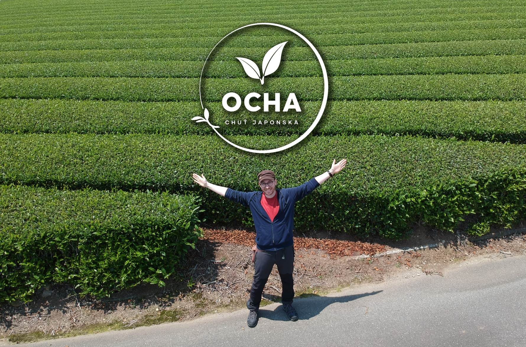 Omne_ocha_japonske_caje