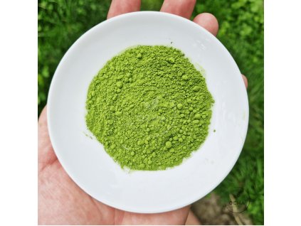 Matcha hane 2024
