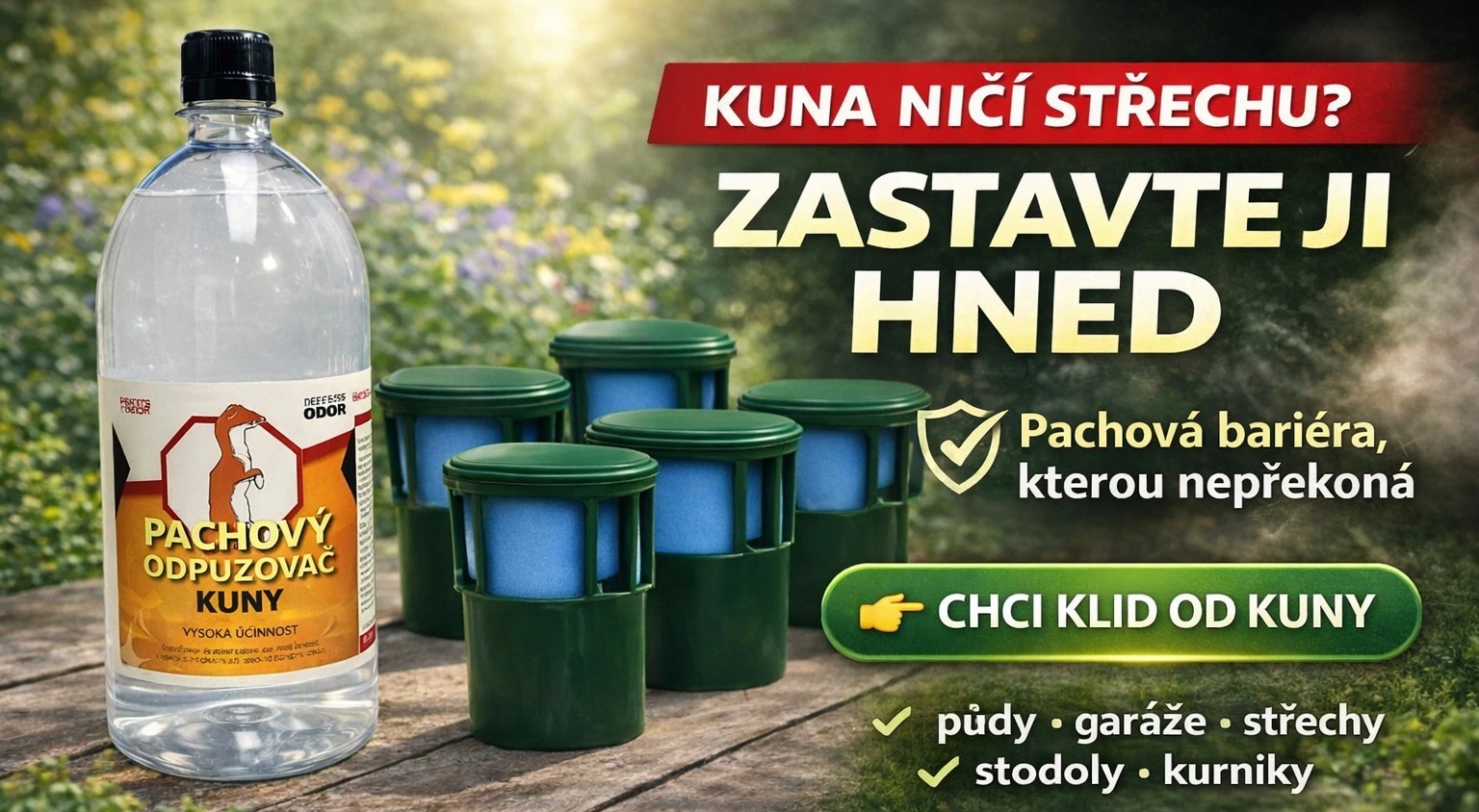 Jak se zbavit kuny?
