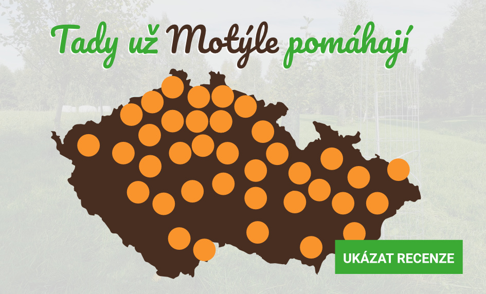 Tady už naše ochrany stromů Motýle pomáhají