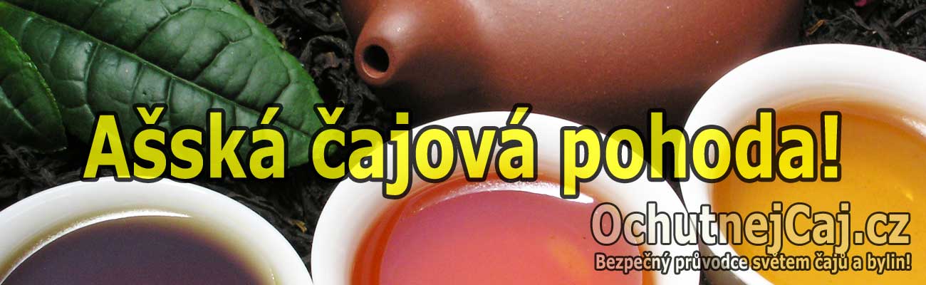 P1010157_asska_cajova_pohoda