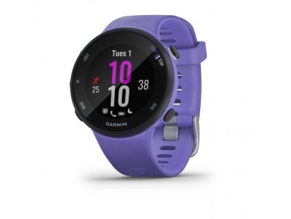 Garmin Forerunner 45S, Iris
