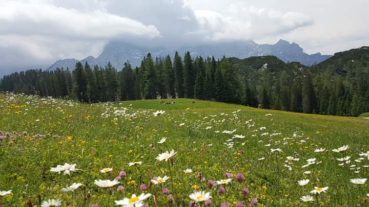 Inspirativní články z blogu