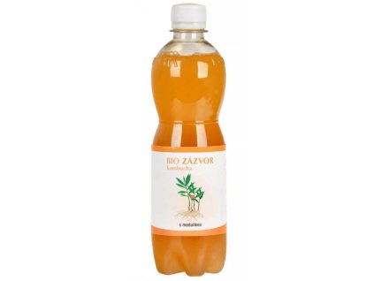 kombucha zazvor