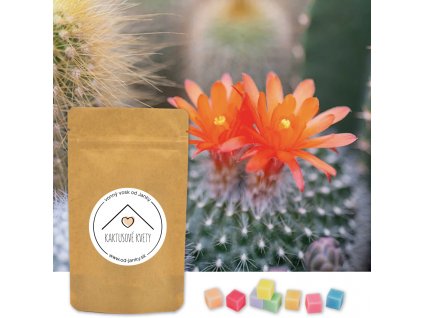 Vonný vosk Kaktusové kvety