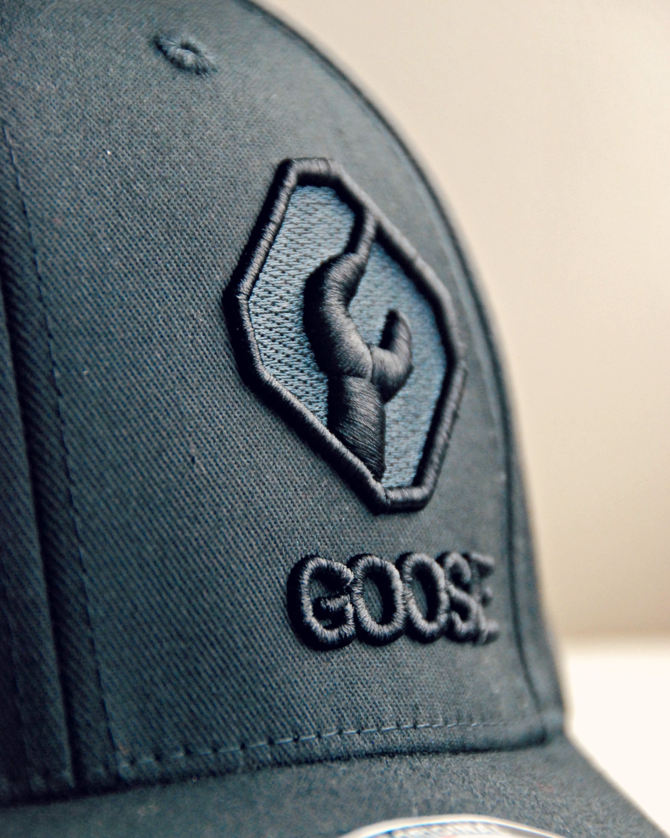 Goose_3DPuffEmbroideryHat_00_1