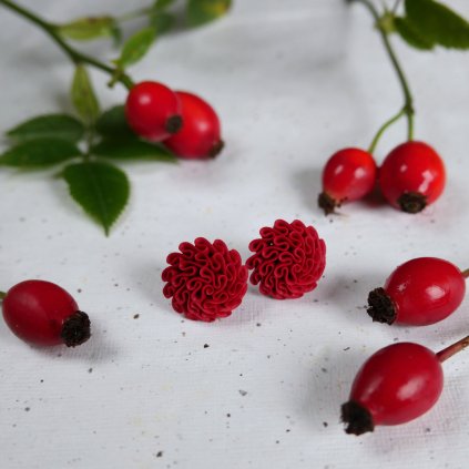 nausnice cervene rude sipkove podzimni antialergicke kvetinky kvetiny pecky