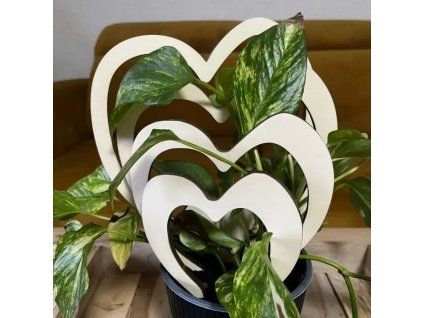 939ce984968da1a02e2516d7e70f9299 800