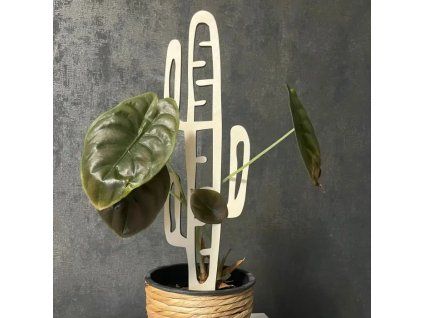 f68d62fbe221dc5f7a05a51f725e66dd 800