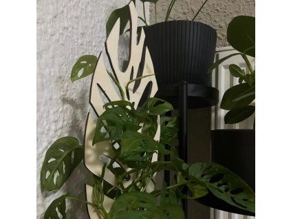 e5572ccdd8f941de3fb3a4cc946cf5e9 800