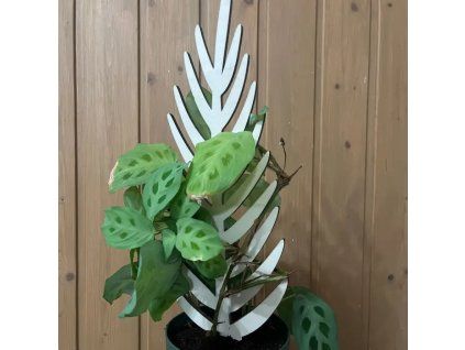 1cd7cc24c80af88d93578da999492cc0 800