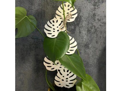 626d685a6252137e7eafec8fe55cf241 800