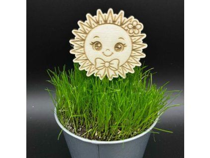 ad4cd4ba31dc50ce271c2516532fd661 800