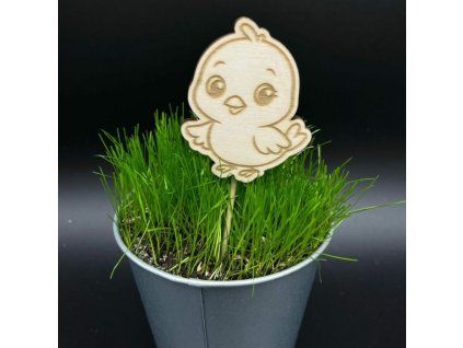 68f6572aee73474fb48f2de928444785 800