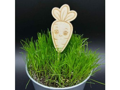 4ff53b302ac621c635909142690ba7b9 800