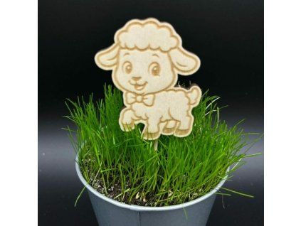 ed045ed53f209df7c372a788c86aedd7 800