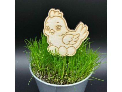 d84c5c1acfa3e5dd5d8b27c843dc6138 800