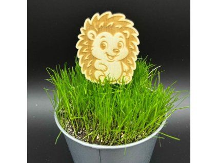 ec5aaa7733ac1403fc414ca47450744b 800