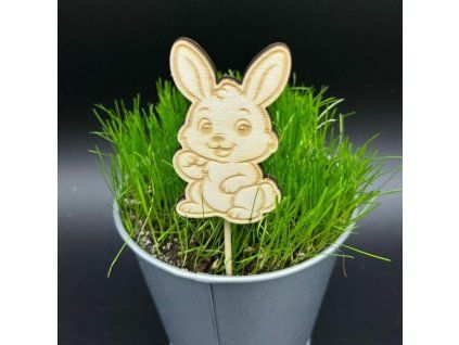 f605fb15286b5be829c93df3edcbc73b 800