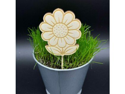 5c9aefd409b5260c1c686790c617244c 800