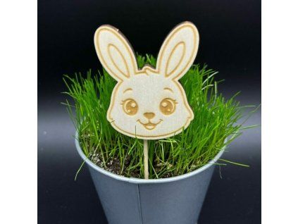 8920941f9696a0b01ba8233ad4c539dc 800