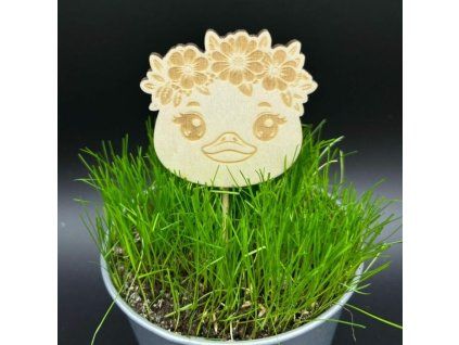 f29c455f35aa363a78de8d130b0f0a4a 800