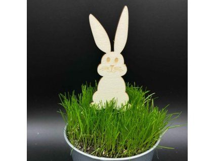 19cf0e96d9ce81d33d965c9add7c7cbb 800