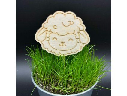 ffbe5f782fc3dc333d1aff5410bb402a 800