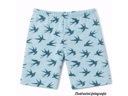 Kraťasy - VLAŠTOVKY