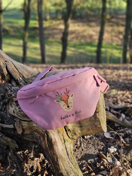 ledvinka HOLKA Z BRD