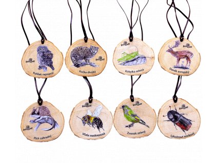 Dřevěná medaile - letokruh