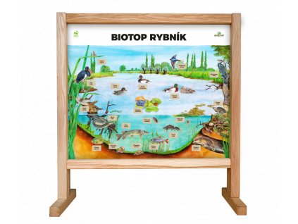 Stolní biotop s magnety - Rybník