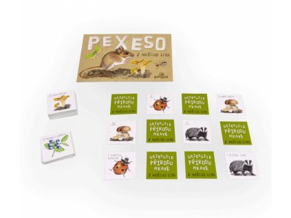 Papirove pexeso Z naseho lesa