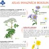 atlas invazních rostlin