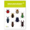 broukovanky skládačka 8 druhů brouků