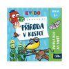 Příroda v kostce rychlá hra na paměť