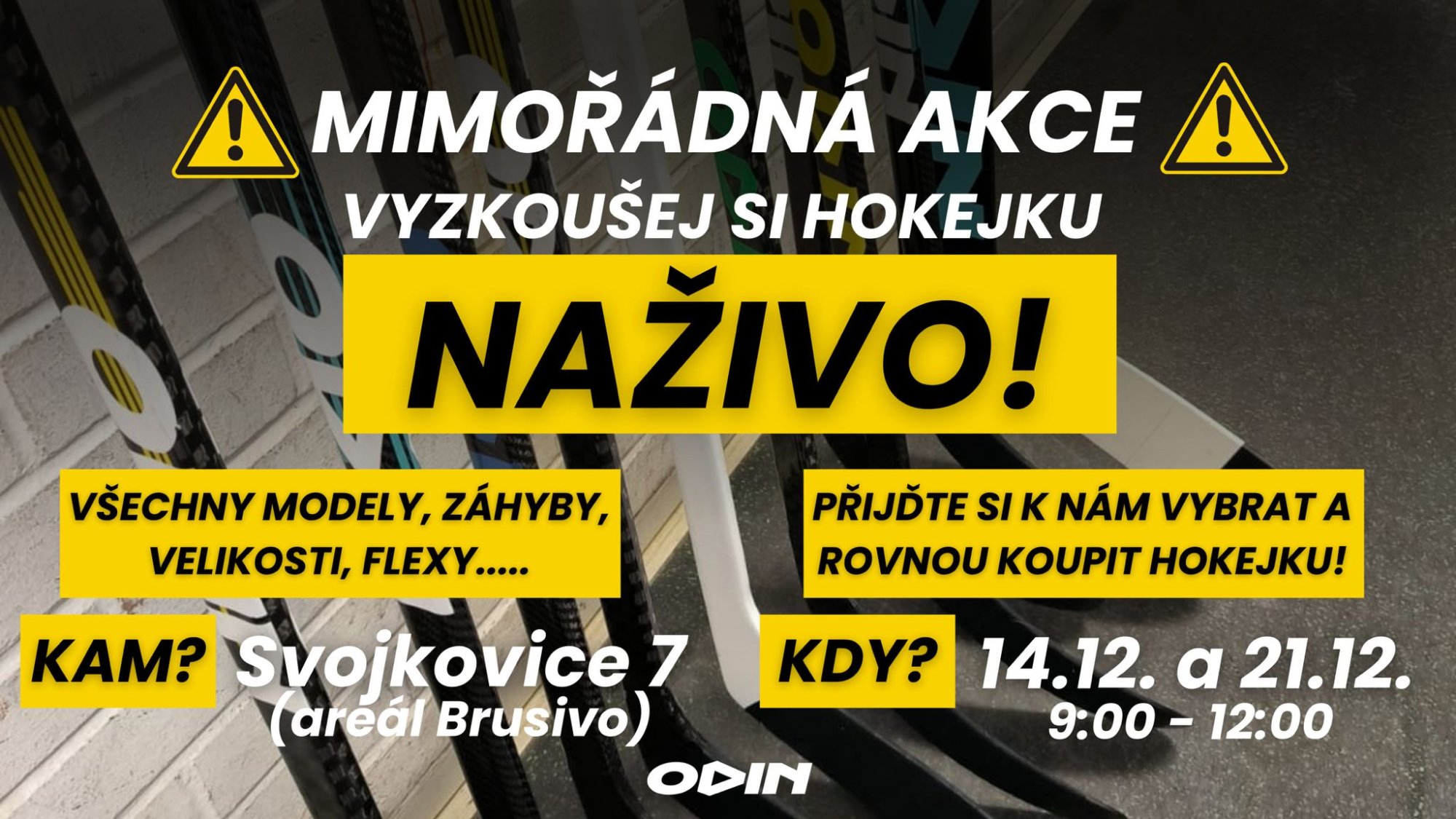 Vyzkoušej hokejku naživo!