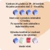 Vonný vosk Jahody se šlehačkou 24g