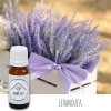Vonný olej Levanduľa 10ml