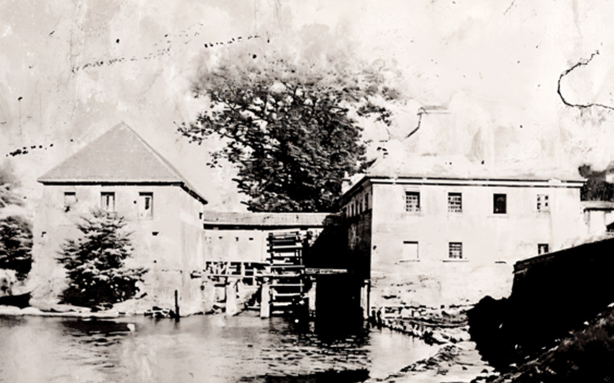 Firma Odkolek