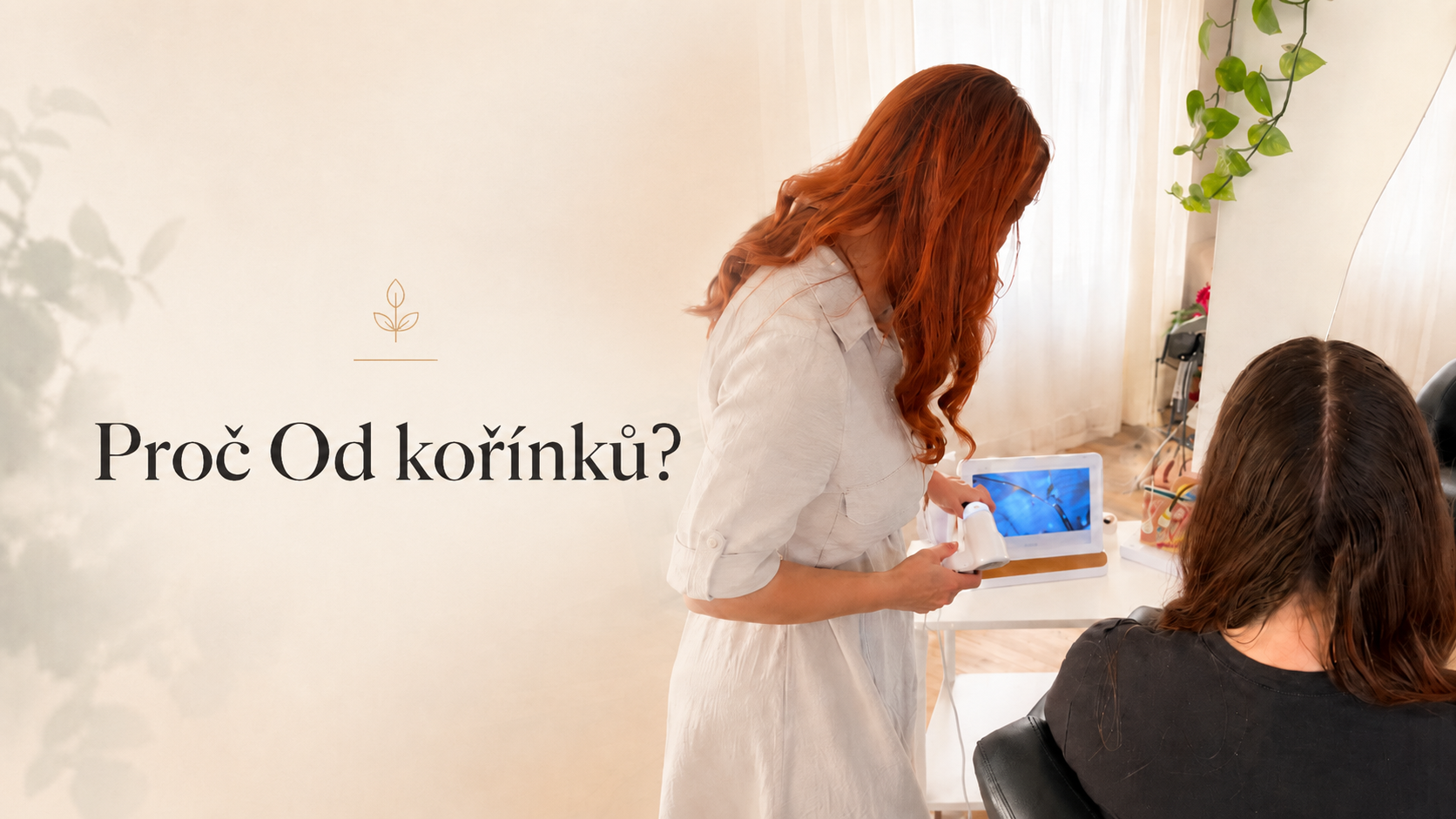 Proč Od kořínků?