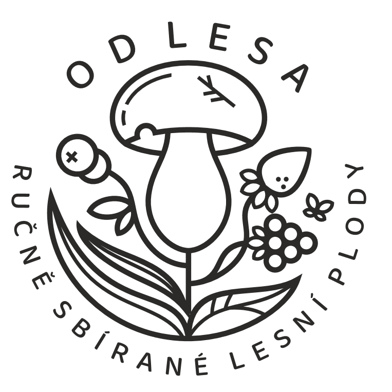 Od Lesa