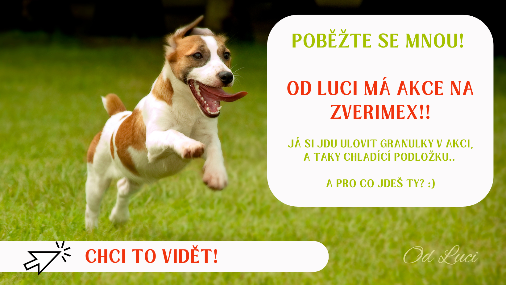 AKCE ZVERIMEX