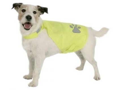 antialias be931965 5870 4303 8608 7afddfeeeea3 2803f2bef933eb50f2cce3d5a9438a34