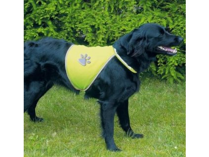 antialias 5ce2b60f a81d 42d4 8720 53ca5e8a3b16 16b478a0abd6226d1cb71f23ccaa31cb